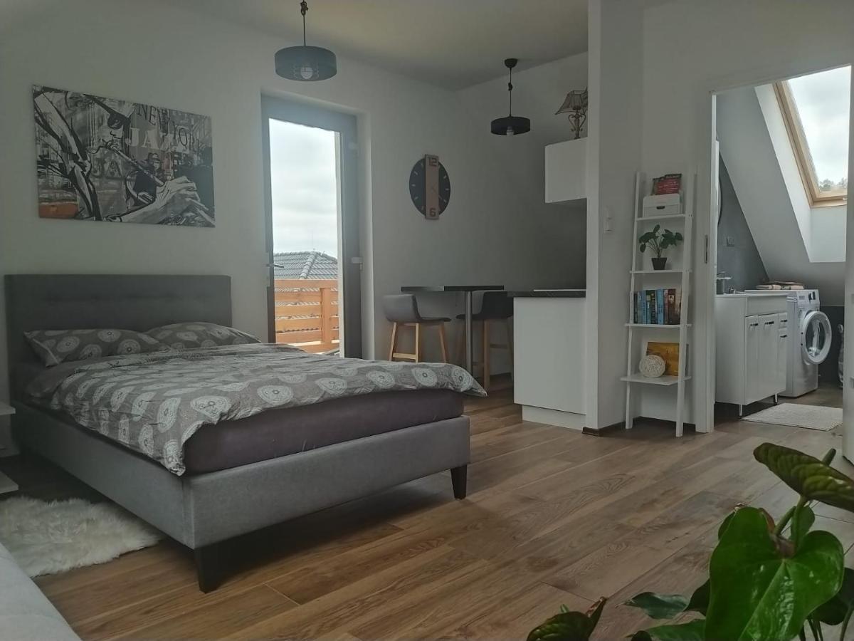 Apartament Muzyczny イェレニャ・グーラ エクステリア 写真